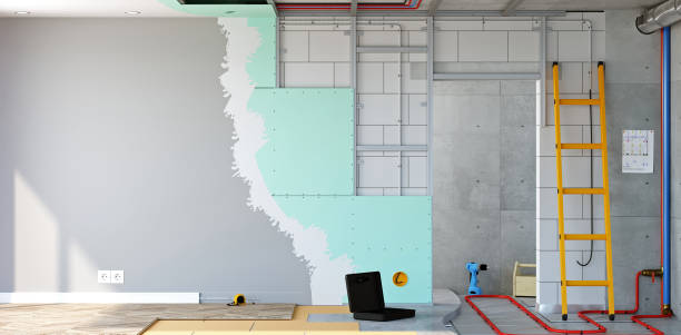 Best Asbestos and Lead Testing During Mold Inspection  in Hickman, KY