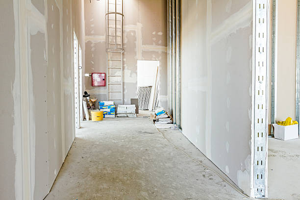 Best Mold Removal for HVAC Installations  in Hickman, KY