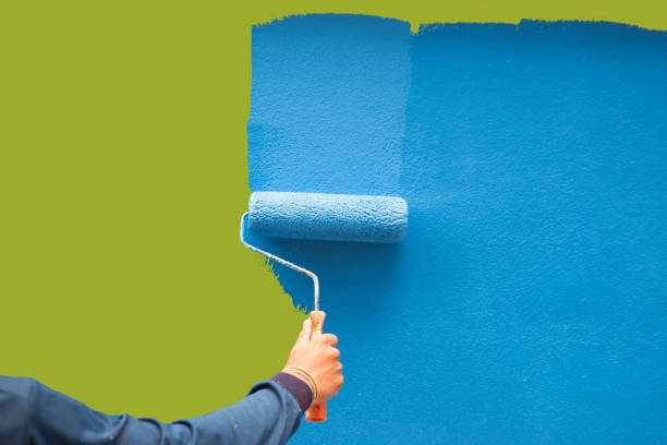 Best Attic Mold Removal  in Hickman, KY
